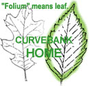 Leaf on home button