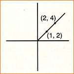 linear segment