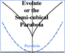 Evolute graph